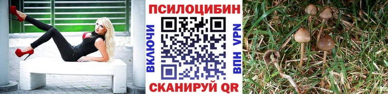 Псилоцибиновые грибы ЛСД  Купить закладки  Тольятти 